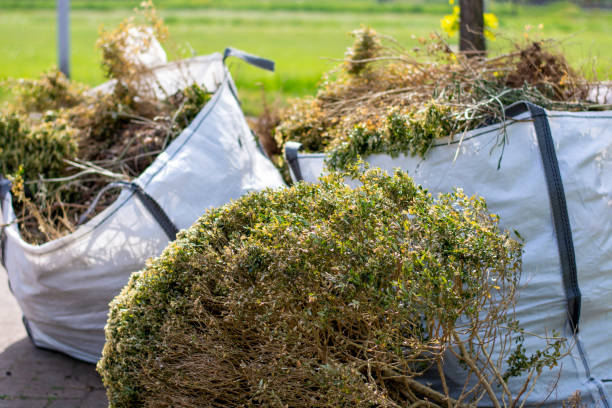 Best Household Junk Removal  in North El Monte, CA
